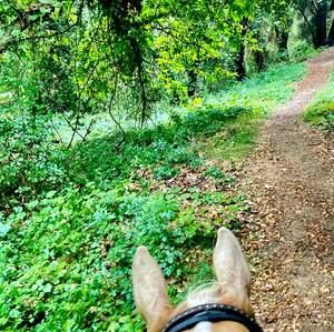 Meet your Posher, Kathleen